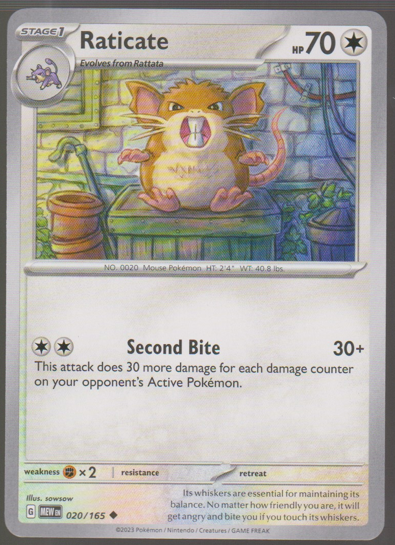 Raticate 020/165 — English Pokémon Scarlet & Violet 151 card front scan